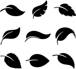Obraz premium Set of Various Leaf Silhouette Icons - Nature and Organic Graphic Collection