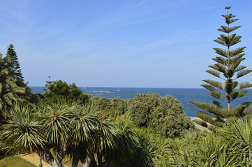 Horizonte com verde da vegeta&ccedil;&atilde;o e azul do c&eacute;u e do mar
