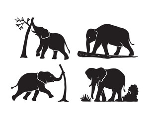 elephant raised trunk, elephant with large ears, elephant walking among trees vector silhouette illustration design set collection,  safari animal design, forest elephant scene, nature vector art, 