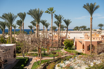 Beautiful Resort Landscape Featuring Palm Trees, Vibrant Gardens, and a View of the Ocean in Sunny Weather