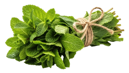 Fresh green mint leaves bunch isolated PNG, aromatic herb for culinary use and herbal medicine on transparent background