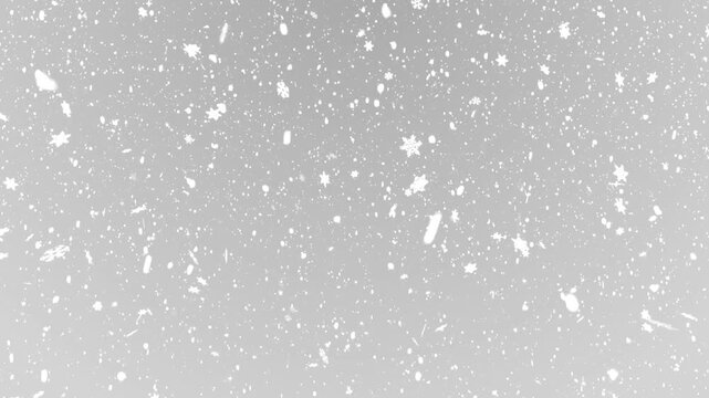 christmas new year winter falling snow and snowflakes isolated on white background, blizzard flurry animation for december, cold and seasonal festive