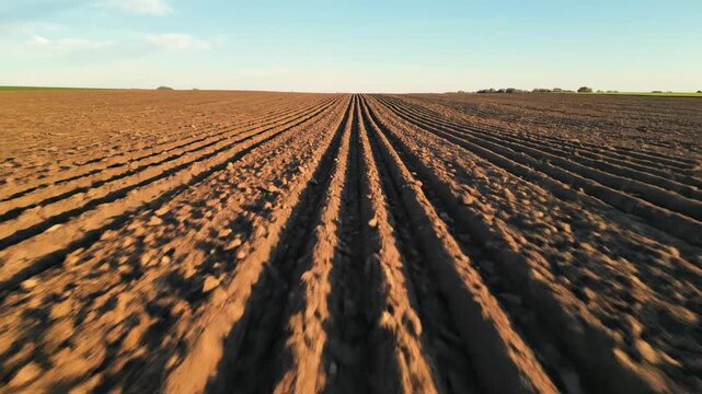 High aerial drone view flying over vast, textured parallel lines created by plowed earth in a farmer's field displaying a natural geometric rhythm brown, environmental, rural