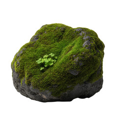 Isolated rock adorned with vibrant green moss and small sprouts creating a natural wonder