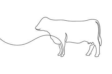 Continuous one line drawing of a cow grazing on a white background minimal vector illustration
