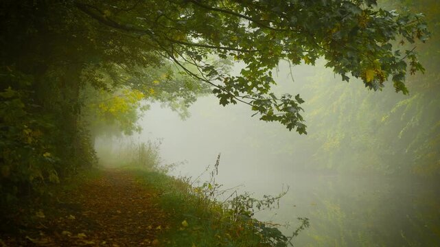 Riverside path disappearing into thick fog under dark branches creating tension of hidden thriller. Mist covering horizon in pale glow, Samhain. Narrow forest trail beside quiet river fading into
