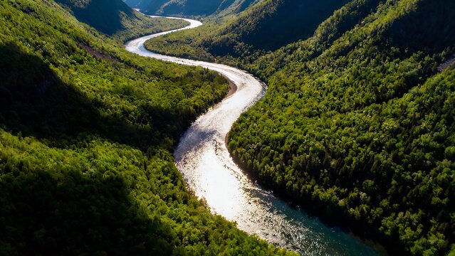 Aerial view of a winding river glistening under sunlight, flowing through a deep valley covered entirely by dense, lush green forest.