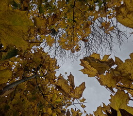 DCIM\100GOPRO\GOPR1392.JPG © buberq