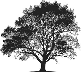 Fototapeta premium Tree silhouette sketch, hand drawn style with detailed branches and foliage. Vector illustration