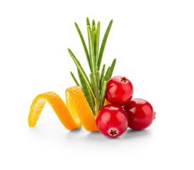 Cranberries and rosemary on a white background.