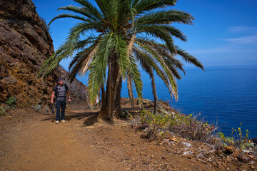 Photographer on coastal trail under palm tree Tenerife