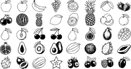 Hand-drawn fruits collection with various fresh and healthy produce, isolated vector sketch icons set. Outline doodle style illustrations including apple, banana, berries, tropical fruits. © kulinadsgn