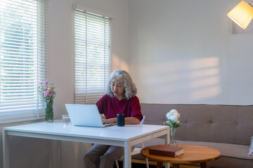Senior Woman Talking to Smart Speaker at Home