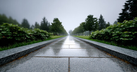 Wet stone pathway lined with green bushes and trees on a foggy day in a park or garden setting with symmetrical perspective
