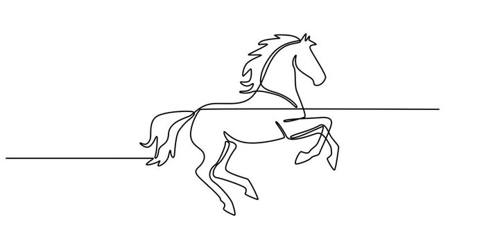 Animated self drawing of  Horse portrait in continuous line art drawing style. Beautiful horse running minimalist black linear sketch isolated 