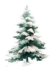 Fototapeta premium PNG Snowy evergreen watercolor illustration.