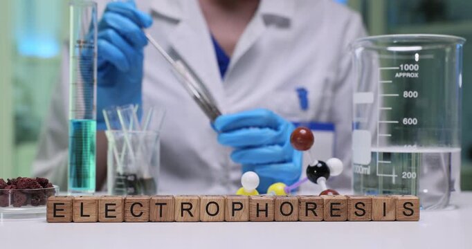 Small wooden cubes form word Electrophoresis on clean laboratory table. Experienced laboratory assistant performs detailed examination of sample