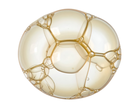 Golden soap bubble foam cluster with transparent cells and abstract organic round structure macro closeup on isolated background