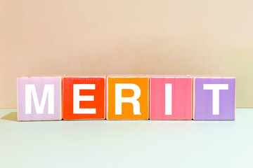 MERIT メリットの文字ブロック

