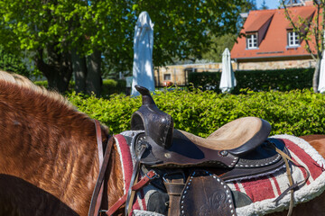 Close-up of a western saddle on a Haflinger horse's back. House with an orange roof and parasols in the background. Western riding, sunny day