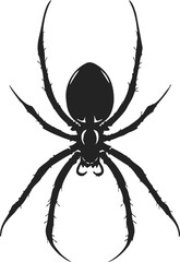 Obraz premium Spider silhouette sketch, hand drawn style with detailed legs and body. Vector illustration