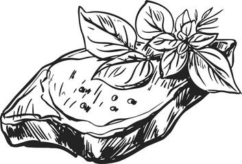 Bruschetta sketch hand drawn with basil leaves and tomato topping. Vector illustration