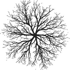 Obraz premium Tree branches silhouette, sketch hand drawn, radial pattern with bare twigs. Vector illustration