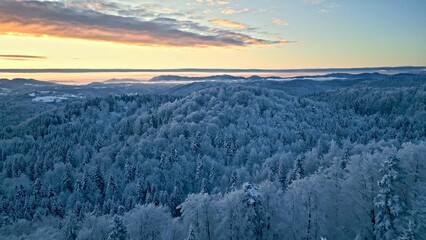 A stunning winter dawn landscape with snow-covered evergreen forests under a soft, pastel sky....
