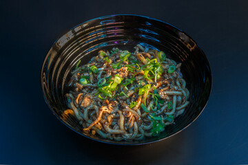 Udon teriyaki avec &eacute;minc&eacute;s de poulet et graines de s&eacute;same. Cuisine japonaise. 