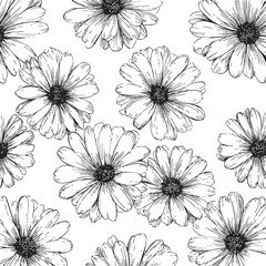Daisy flowers seamless pattern, sketch hand drawn, black and white floral background. Vector illustration