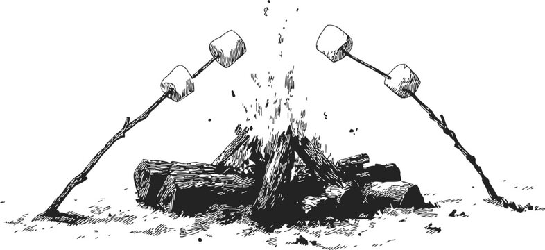 Campfire with marshmallows on sticks, sketch hand drawn style, outdoor scene. Vector illustration