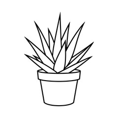 Simple line drawing of a potted succulent plant with spiky leaves in a pot