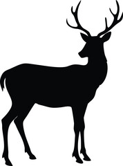 A black and white image of a person holding a white flower