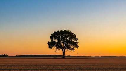 Lone Tree Silhouette Against a Breathtaking Blue and Orange Gradient Sky at Dusk.