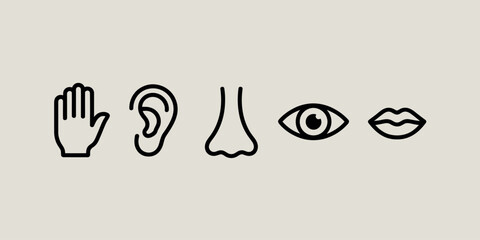 Obraz premium Five senses icons representing touch hearing smell sight and taste