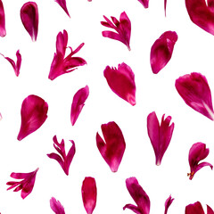 Elegant seamless pattern featuring individual red peony petals arranged on a white background. Ideal for romantic designs, fabric prints, packaging, wrapping paper and creative floral projects.