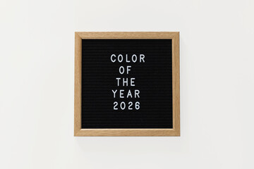 Color of the year 2026. Trendy colors concept, mockup with copy space