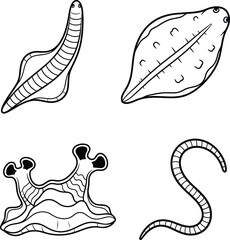 marine life worms and sea slugs set black and white flat vector illustration.