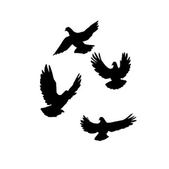 Set of Four Flying Bird Silhouettes Depicting Pigeons or Doves
