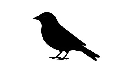 Obraz premium Black silhouette of a small bird with a white eye on a white background