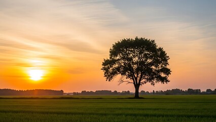 Vibrant Sunset Glow Illuminating a Solitary Tree Silhouette in a Lush Green Field.