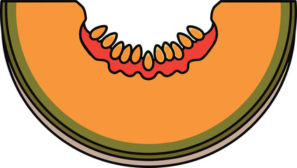 Orange Bitten Cantaloupe Melon Slice Illustration
