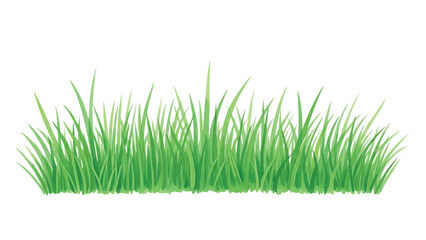 Obraz premium Fresh green grass vector illustration for spring and summer designs isolated on transparent background