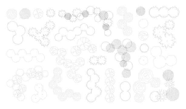 Top view trees for architectural plans and landscape design. Minimal vector illustration for urban planning, site plans, and architectural entourage.