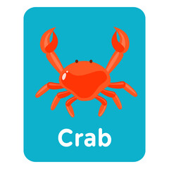 Crab vocabulary flashcard