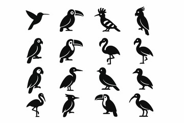 Fototapeta premium Silhouette icons of diverse bird species with unique features and postures