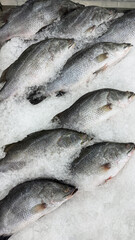 Fresh raw fish on ice in the market for sale