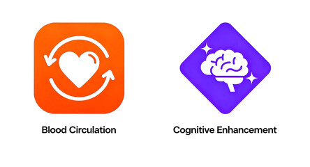 Heart circulation and brain brightening elements represent the concept of blood circulation and cognitive enhancement, suitable for promotional materials of health care products.
