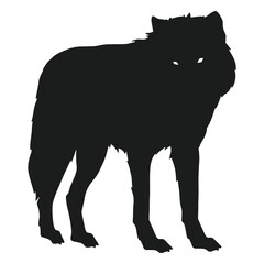 Wolf standing silhouette wolf