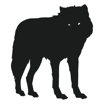 Wolf standing silhouette wolf